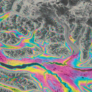 Motion of the Kennicott Glacier in Wrangell-St. Elias National Park, Alaska, is revealed by this ALOS PALSAR interferogram. Motion of glaciers between repeat passes of a satellite causes decorrelation of the phase signal returned from the glacier ice. This decorrelation, or loss of coherence, can be used by scientists to map the terminus of the glacier and study how it changes through time. Image credit: Franz Meyer, UAF. Includes Material © JAXA, METI 2007