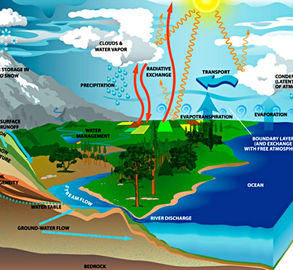 Earth's water cycle involves the transfer and storage of water in the atmosphere, on the planet's surface, underground, and by life in its many forms.