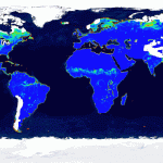 Wetlands Map Global