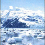 Many icebergs in Glacier Bay, Alaska. Photo by Kristina Ahlnas.