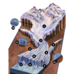 The anatomy of a glacier as it slowly slides down the valley. Illustration by Donna Redhead.