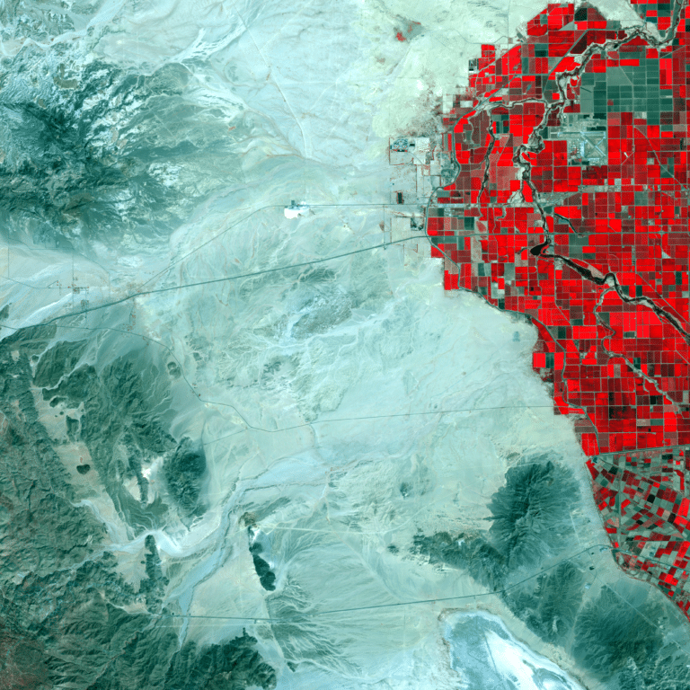 ALOS AVNIR-2 near-infrared image shows a stark contrast between the productive agricultural region of the Imperial Valley and the Sonoran desert of southern California and northern Mexico
