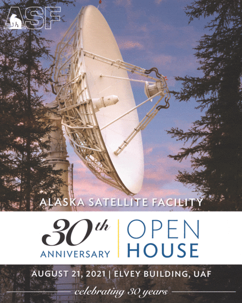 ASF 30th anniversary poster