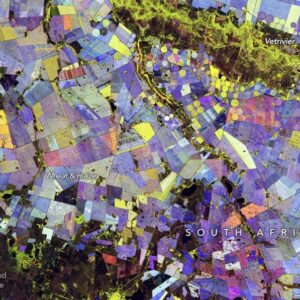 A false-color composite derived from NISAR data of an agricultural region of South Africa.