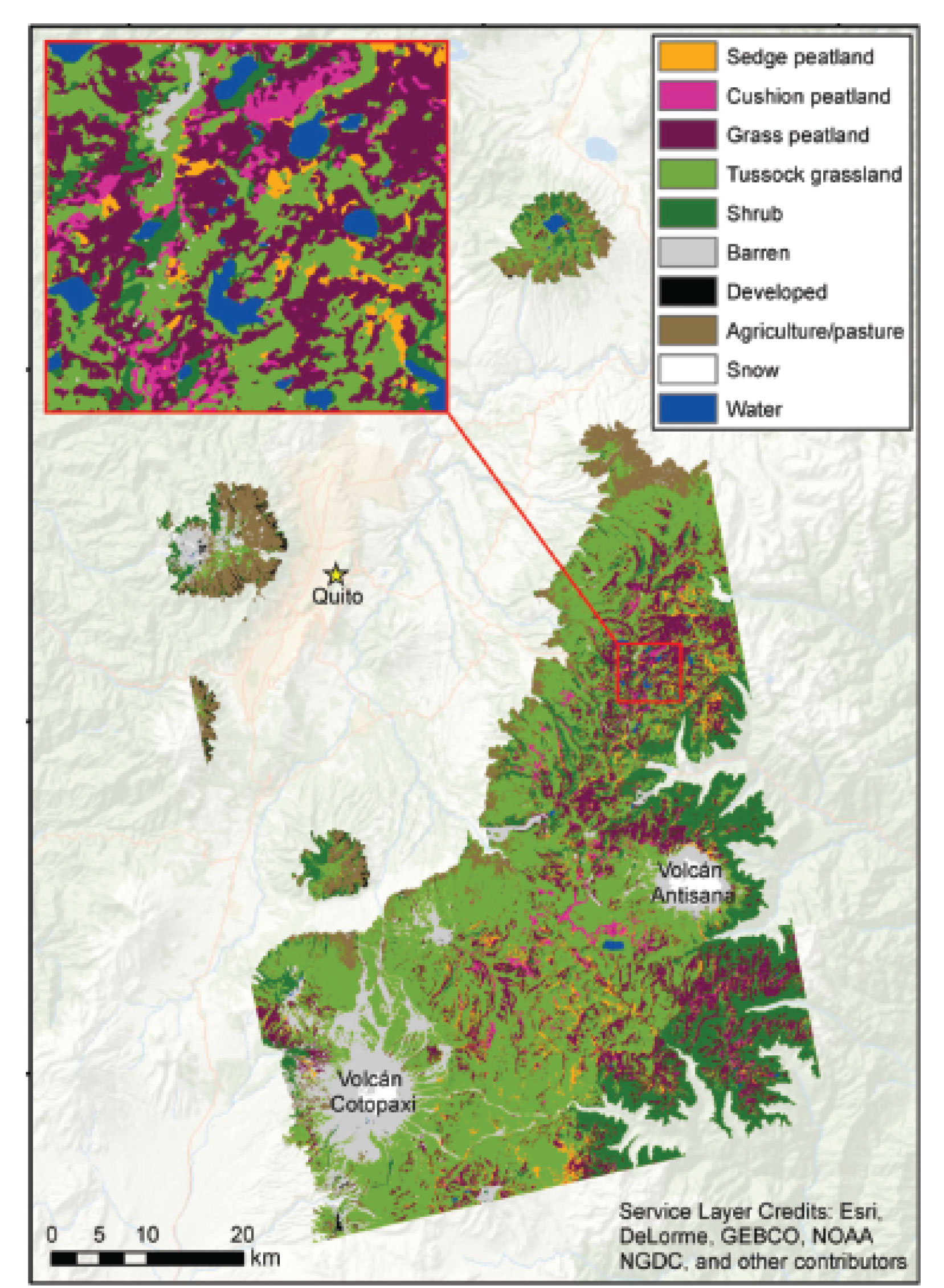 Tropical mountain peatland map-Ecuador